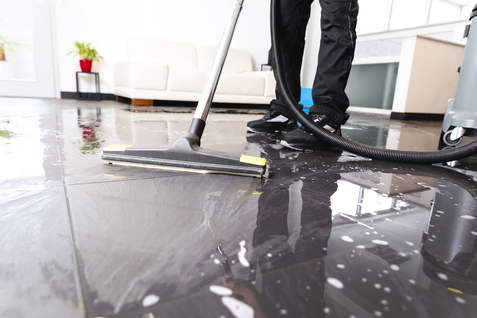 Professionelle Reinigungskraft saugt mit einem Nasssauger Seifenwasser von einem schwarzen Fliesenboden in einem modernen Innenraum mit Sofa und Pflanzen.